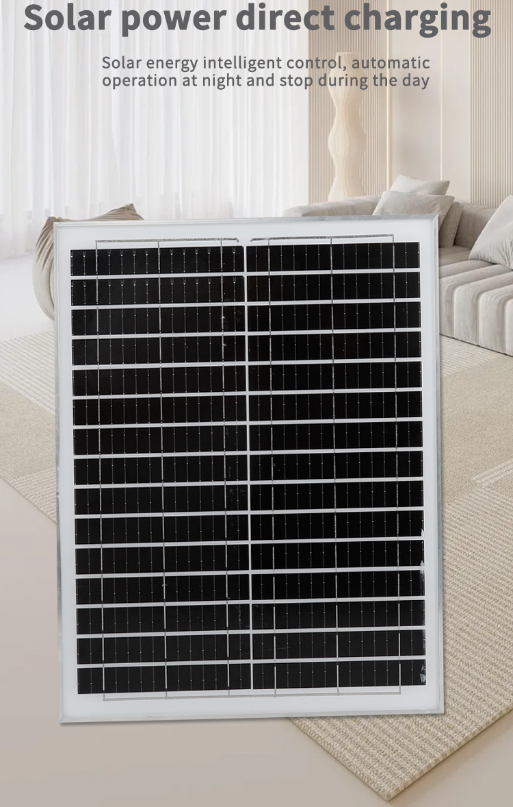 Carga port&aacute;til Ventilador4 